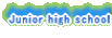 Junior high school
