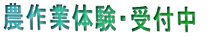 �_��Ƒ̌��E��t�� 